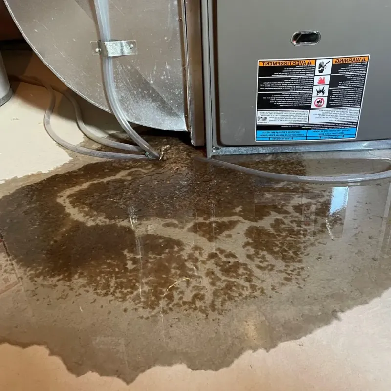 Pipe Burst and Leak Restoration in Lewis County, KY