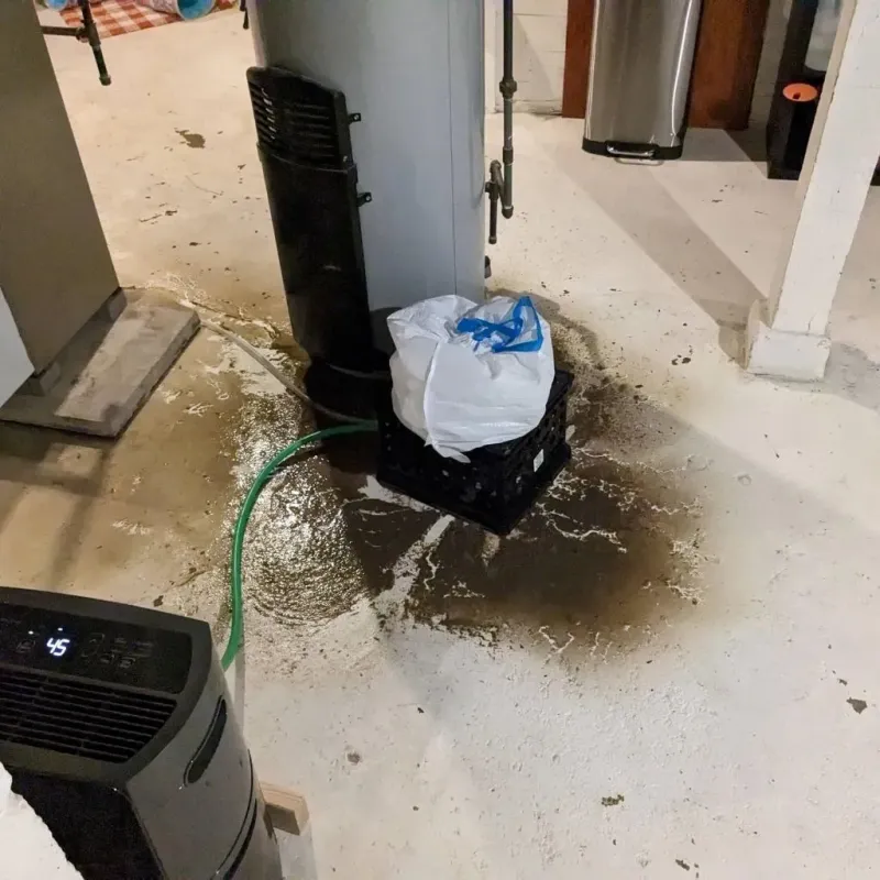 Sewage Backup Cleanup Service in Lewis County, KY